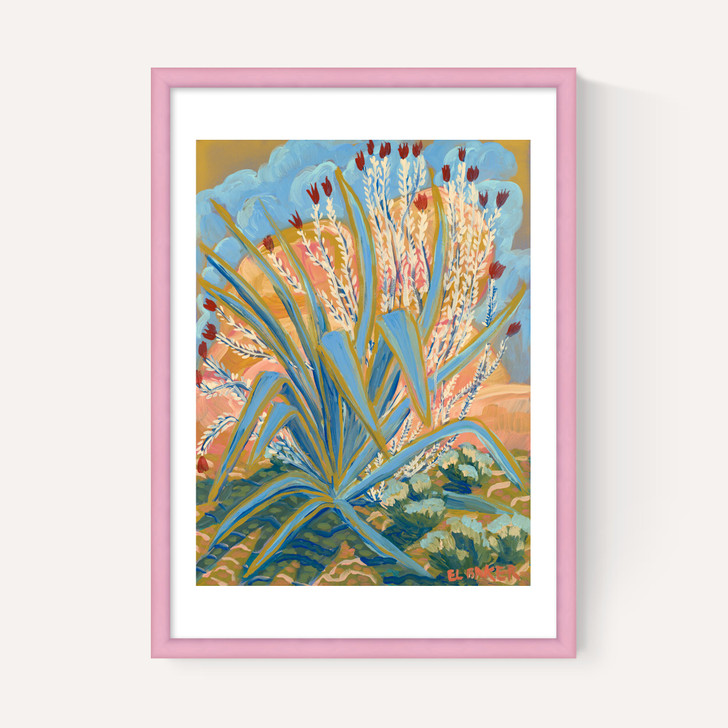 Agave Plant