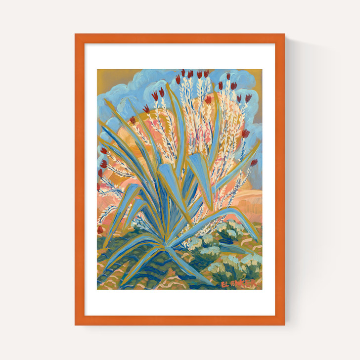 Agave Plant