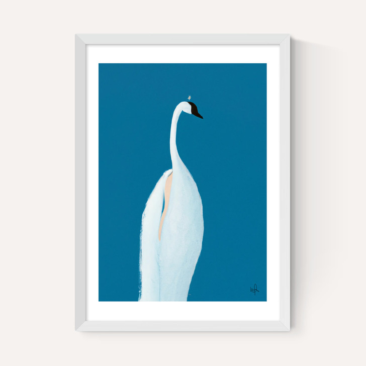 Swan Maybe
