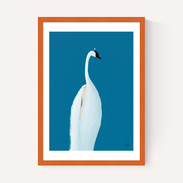 Swan Maybe