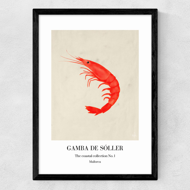 Gamba de Sóller Medium Black Frame