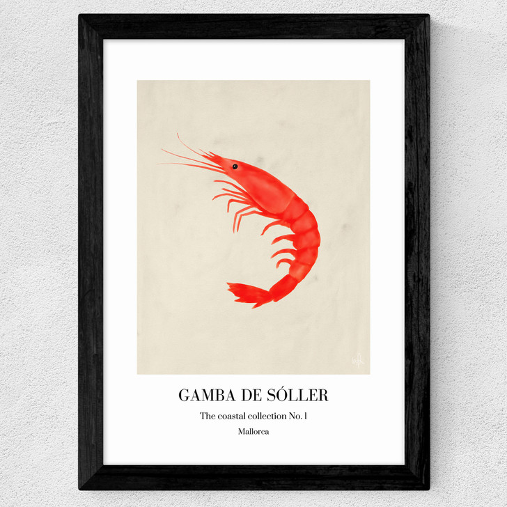 Gamba de Sóller Wide Black Frame