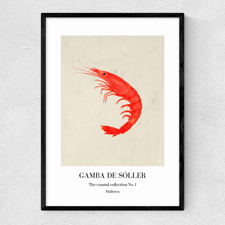 Gamba de So_ller Narrow Black Frame