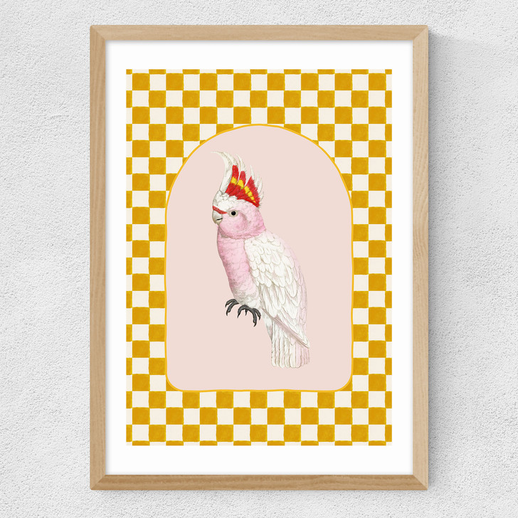 Check Out This Cockatiel Medium Oak Frame