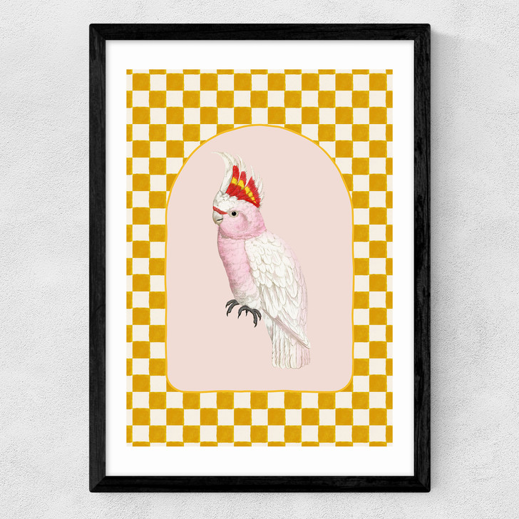 Check Out This Cockatiel Medium Black Frame