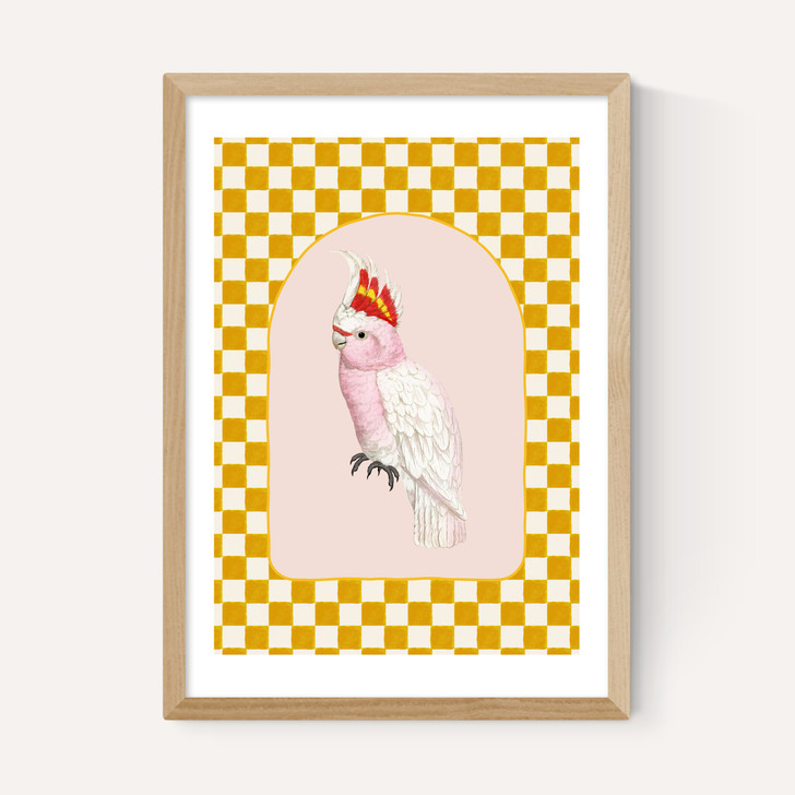 Check Out This Cockatiel