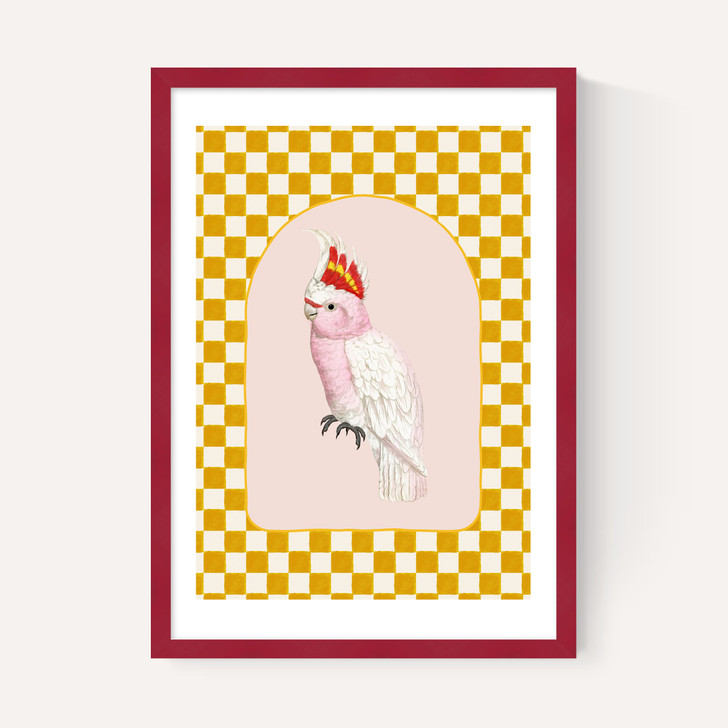 Check Out This Cockatiel