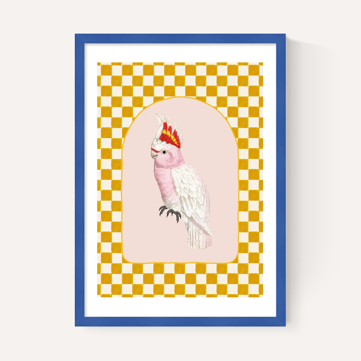 Check Out This Cockatiel
