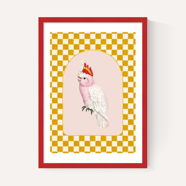 Check Out This Cockatiel