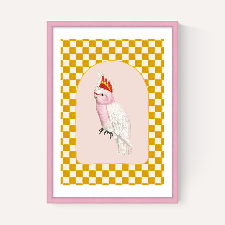 Check Out This Cockatiel