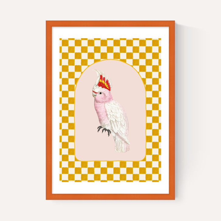 Check Out This Cockatiel