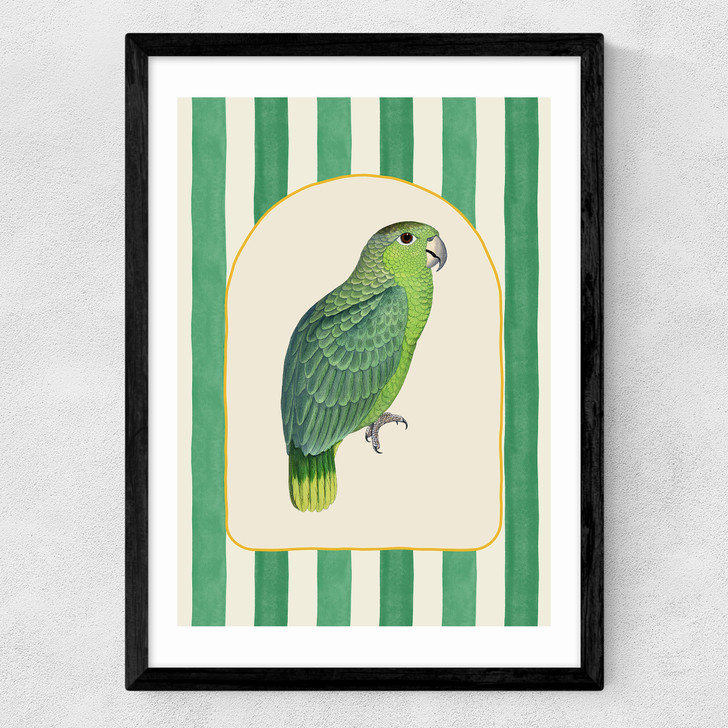 Stripey Green Parrot Medium Black Frame