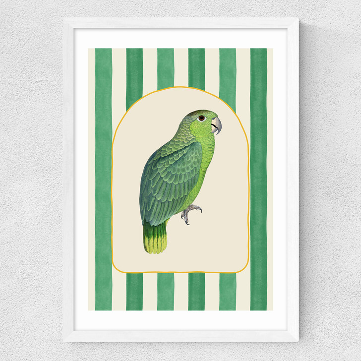 Stripey Green Parrot Medium White Frame