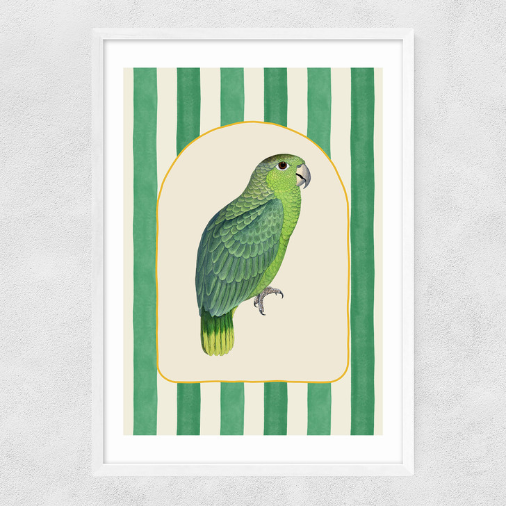 Stripey Green Parrot Narrow White Frame