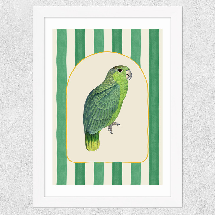 Stripey Green Parrot Wide White Frame