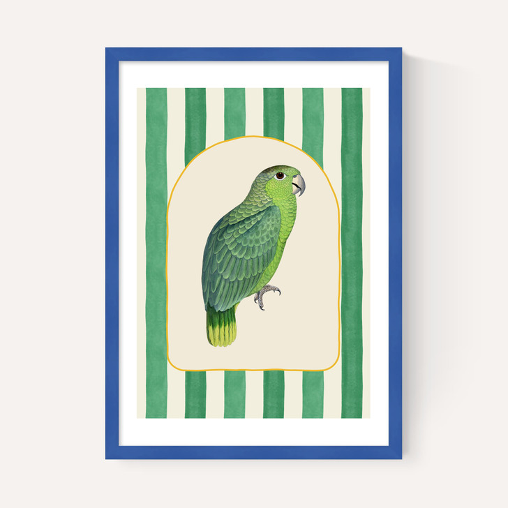 Stripey Green Parrot