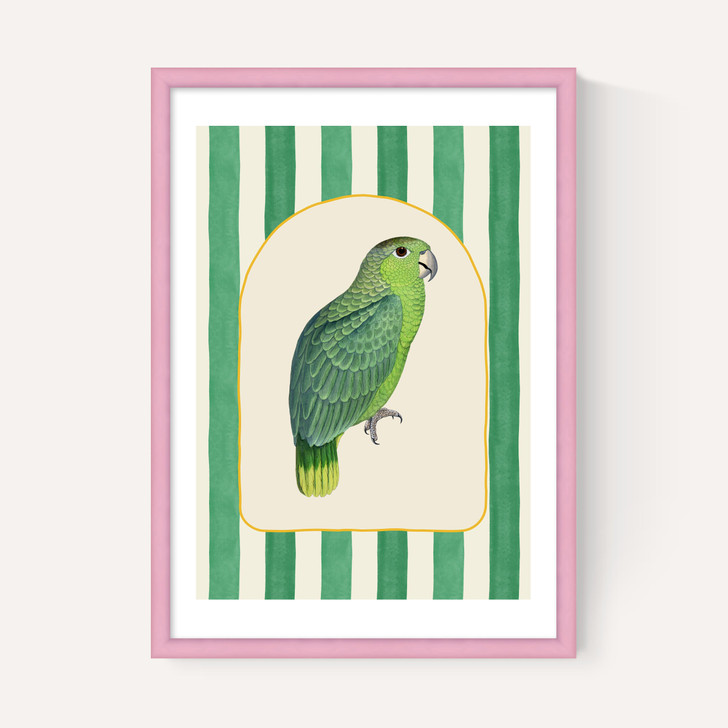 Stripey Green Parrot