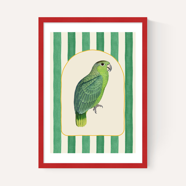Stripey Green Parrot