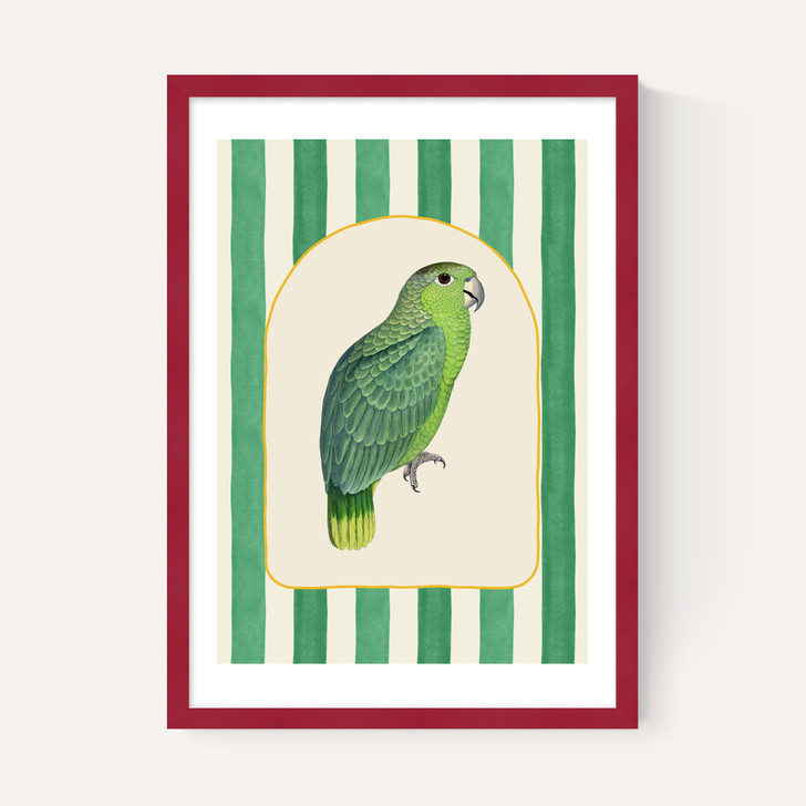 Stripey Green Parrot