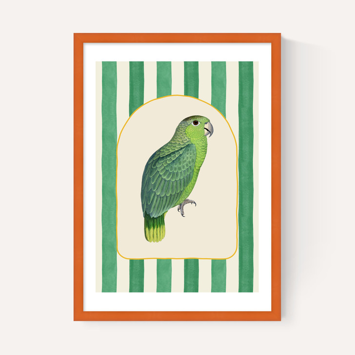 Stripey Green Parrot