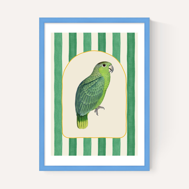 Stripey Green Parrot