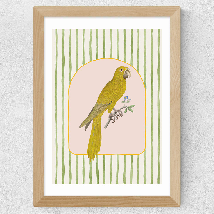 Eccentric Parrot Wide Oak Frame