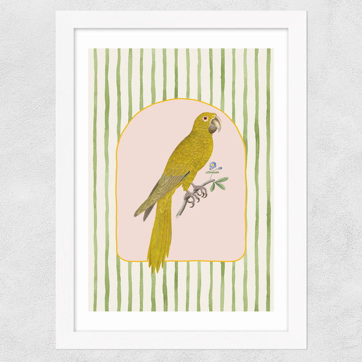 Eccentric Parrot Wide White Frame
