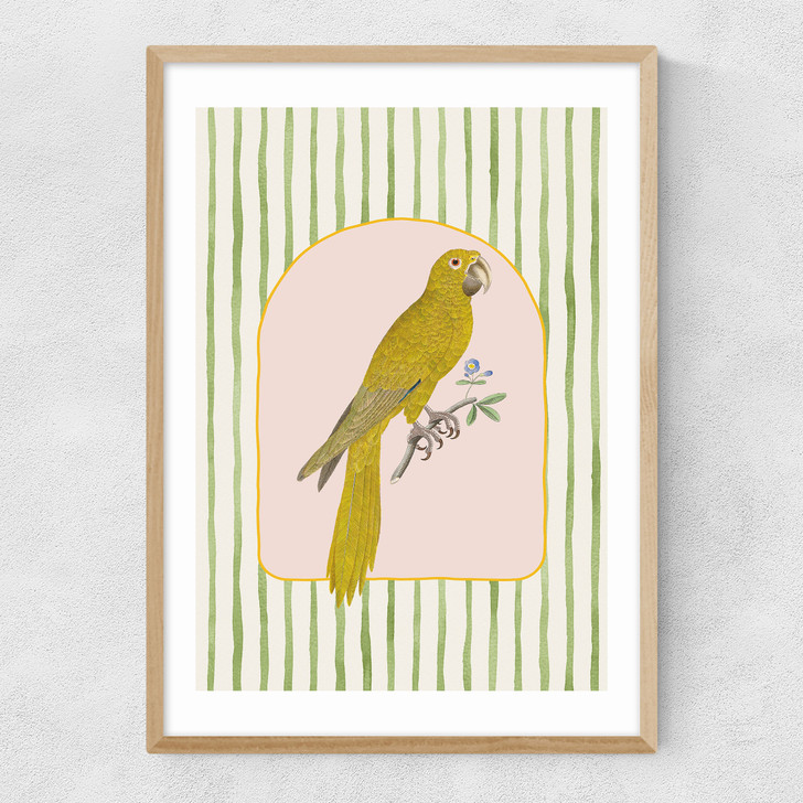 Eccentric Parrot Narrow Oak Frame