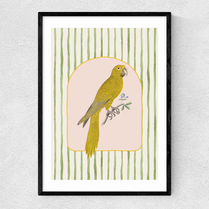 Eccentric Parrot Narrow Black Frame