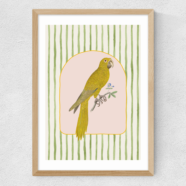 Eccentric Parrot Medium Oak Frame