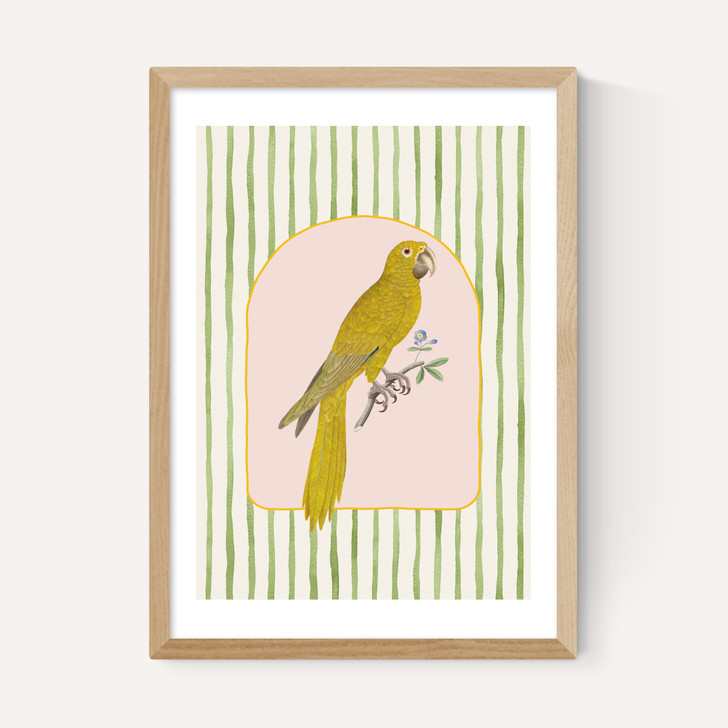 Eccentric Parrot