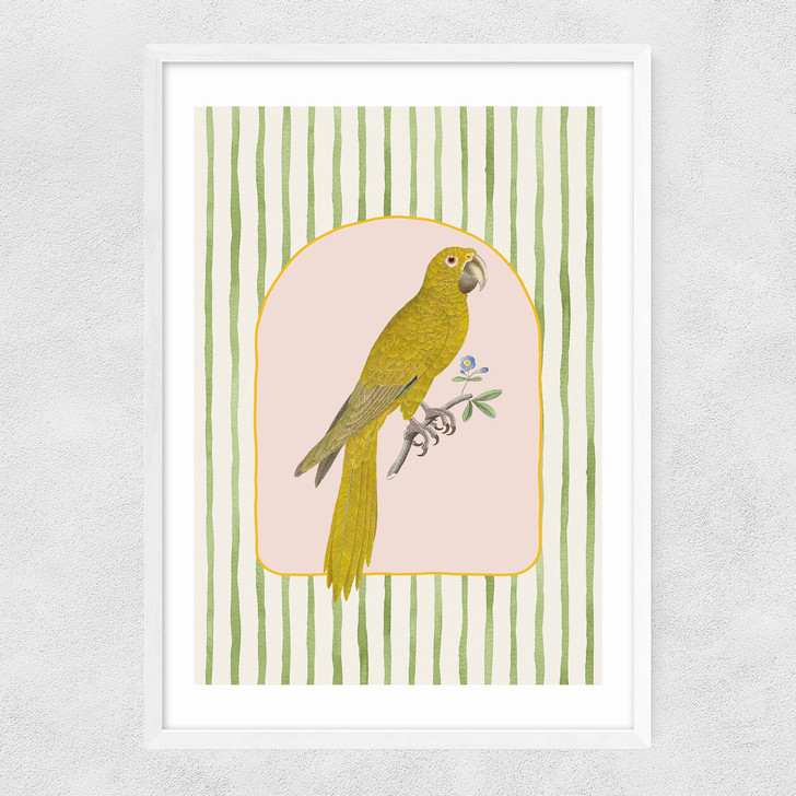 Eccentric Parrot Narrow White Frame