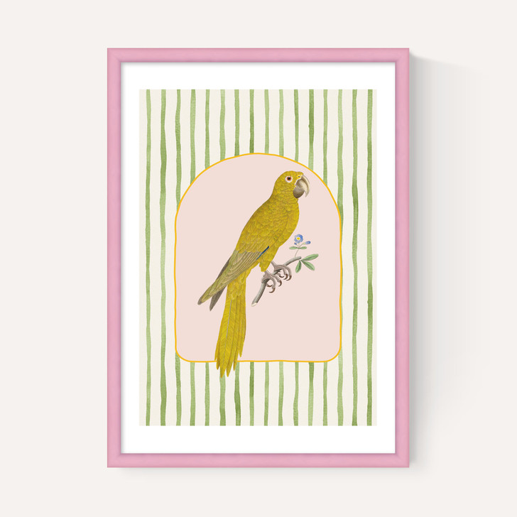 Eccentric Parrot
