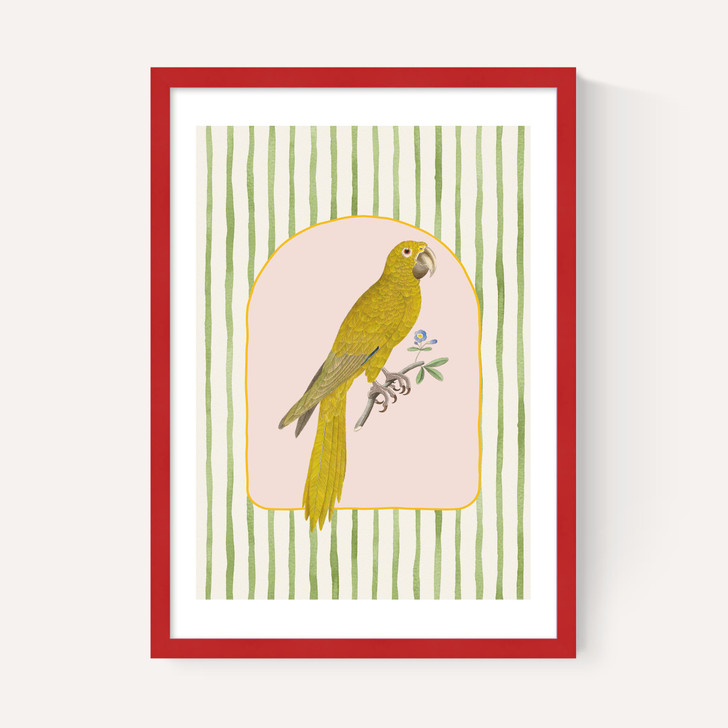 Eccentric Parrot