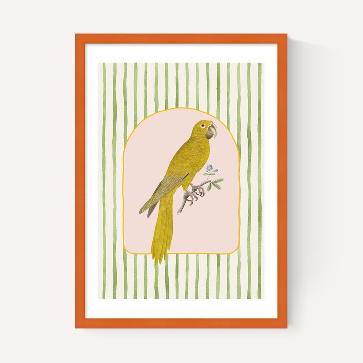 Eccentric Parrot