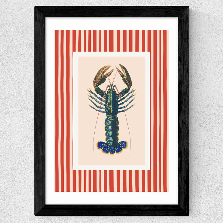 Stripey Lobster Wide Black Frame
