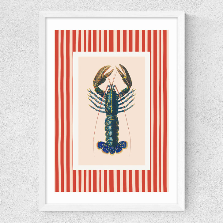 Stripey Lobster Medium White Frame