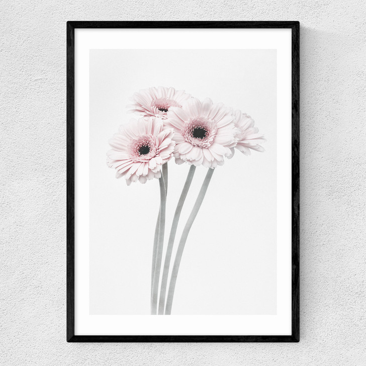 Gerbera Daisy (Pink) Narrow Black Frame