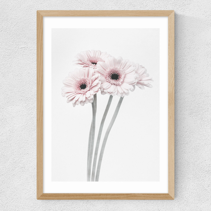 Gerbera Daisy (Pink) Medium Oak Frame
