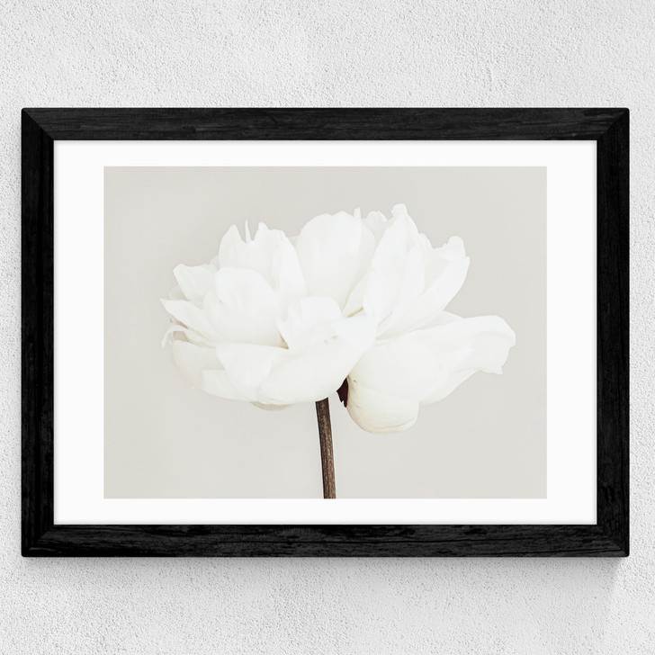 White Bloom Serenity Wide Black Frame