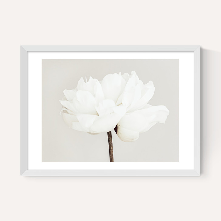 White Bloom Serenity