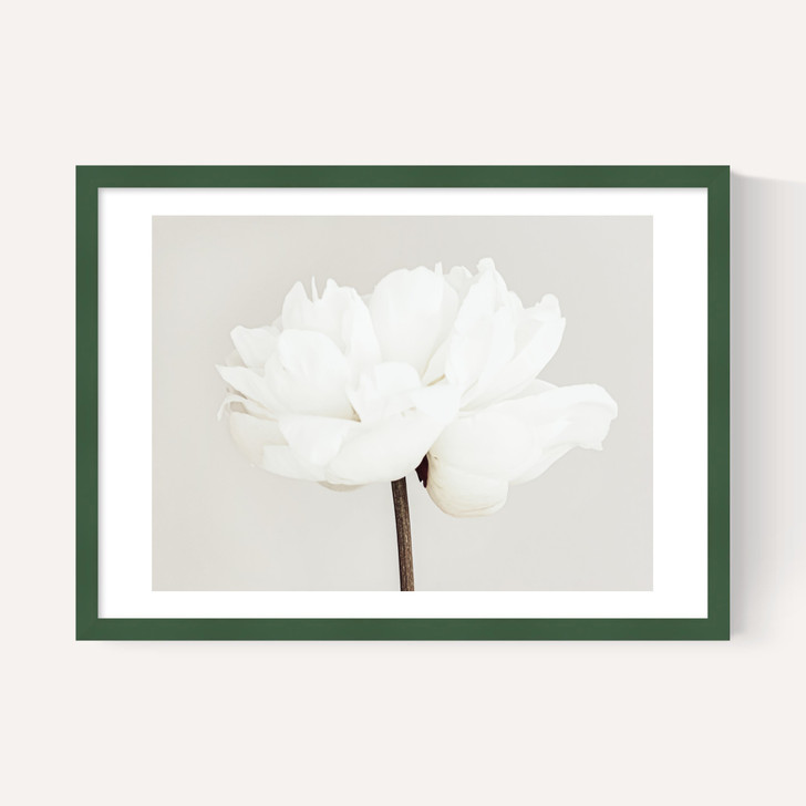 White Bloom Serenity