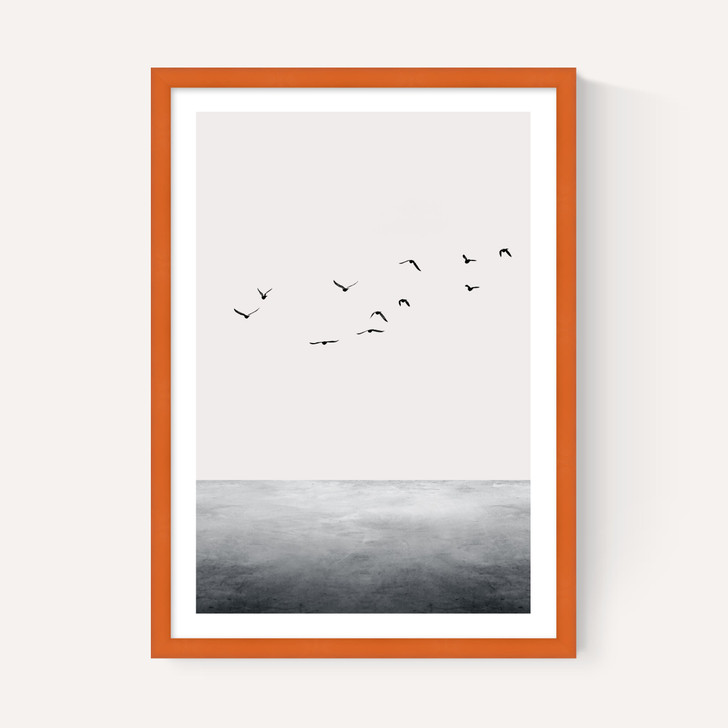 The Ocean