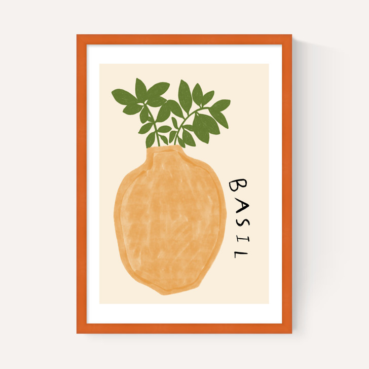 Basil Plant
