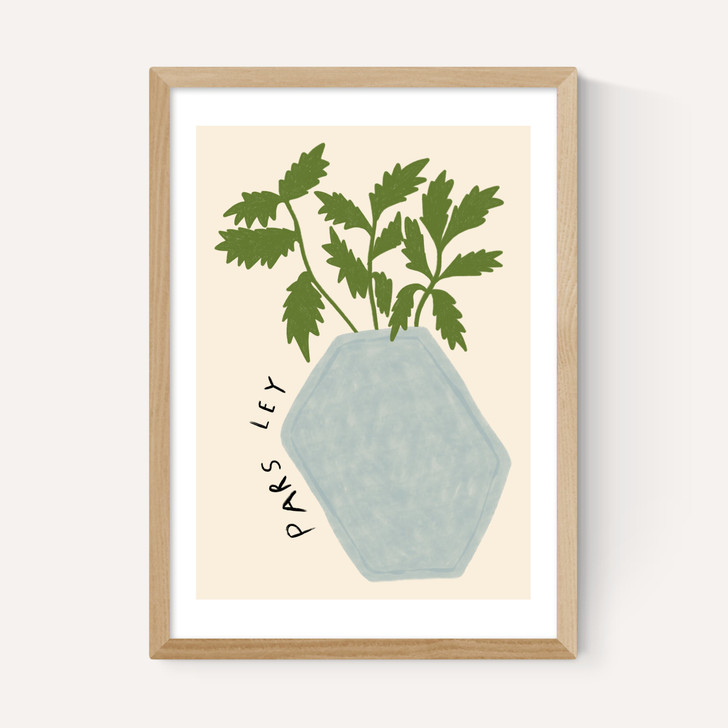 Parsley Plant