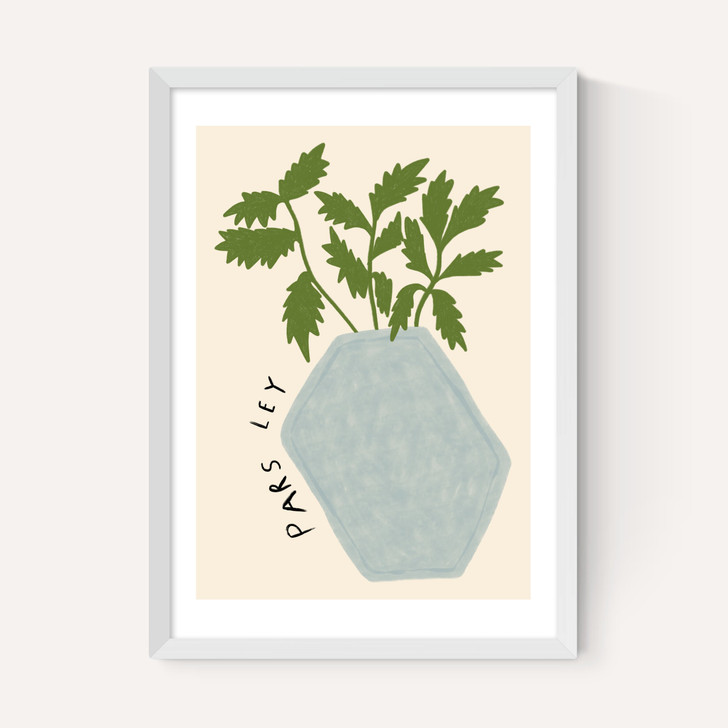 Parsley Plant