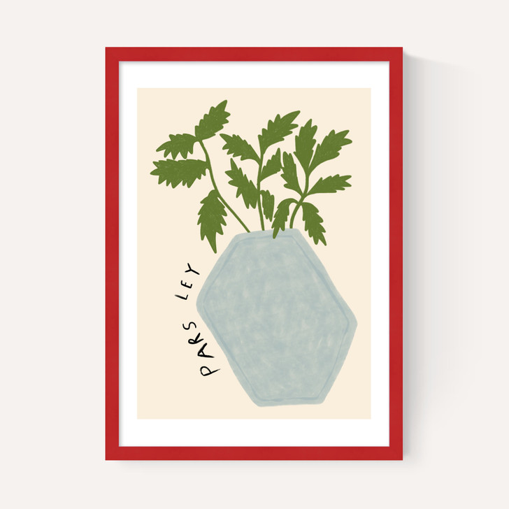Parsley Plant