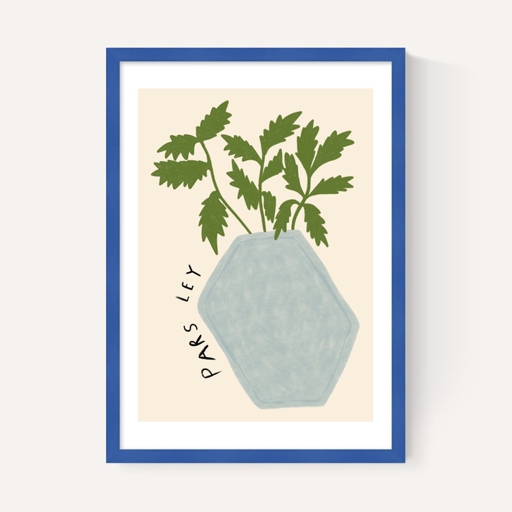 Parsley Plant