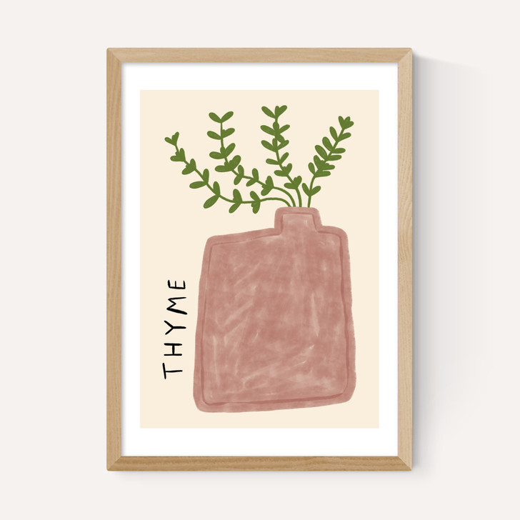 Thyme Plant