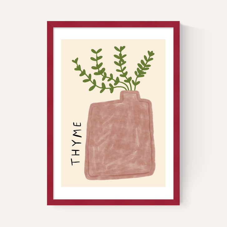 Thyme Plant
